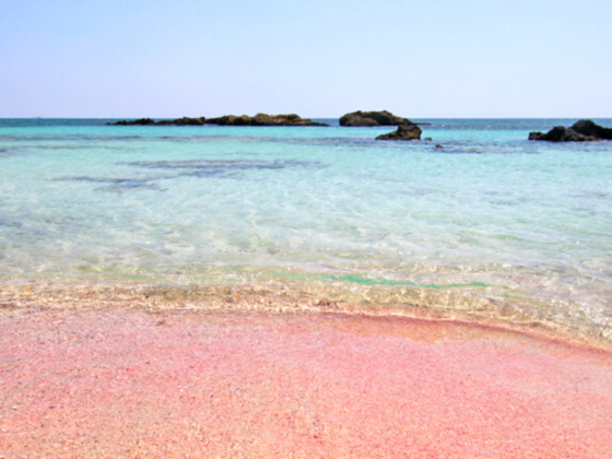 Pinker Strand Elafonissi, Griechenland - Türkisblaues Wasser mit pinken Sand und kleinen Felsen im Wasser