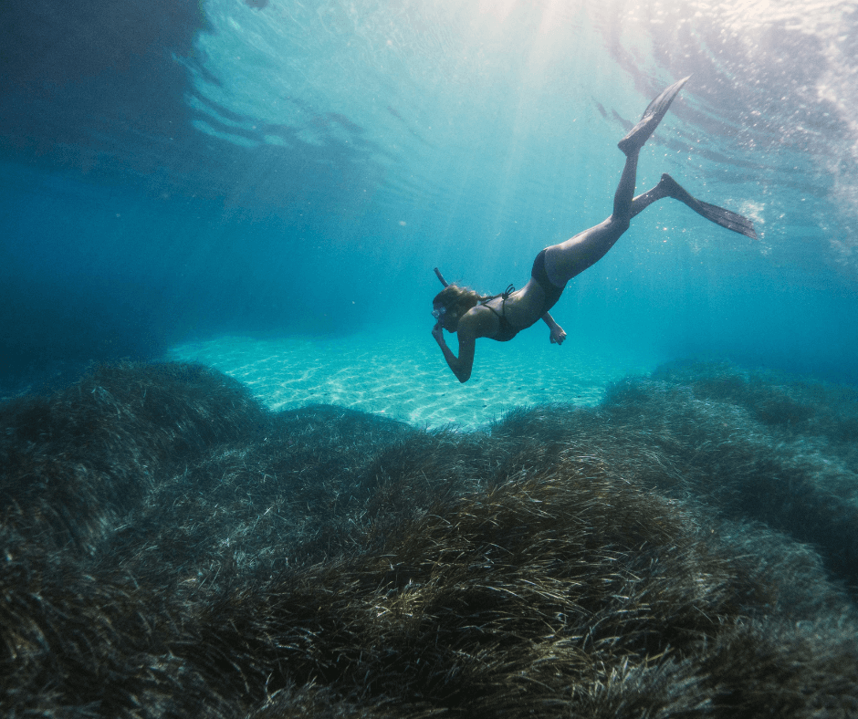 Frau in schwarzem Badeanzug mit Schwimmflossen, die beim Schnorcheln runter zum Meeresboden taucht, der mit Seegras bewachsen ist