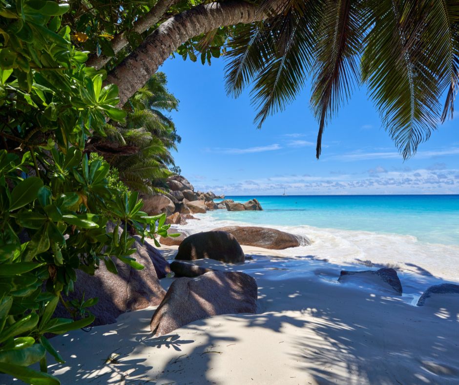 Kleiner Strandabschnitt auf den Seychellen mit den vom Wasser abgerundeten Felsen im Wasser. Von links und oben stehen noch verschiedene Pflanzen ins Bild herein.