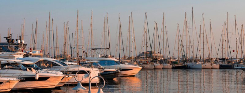 Charterboote im Hafen