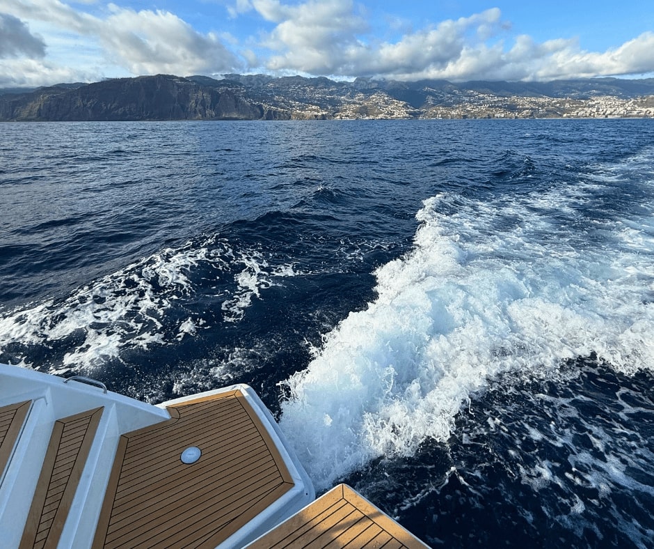 Madeiras Küste vom Boot aus bei einer Delfin Tour auf Madeira