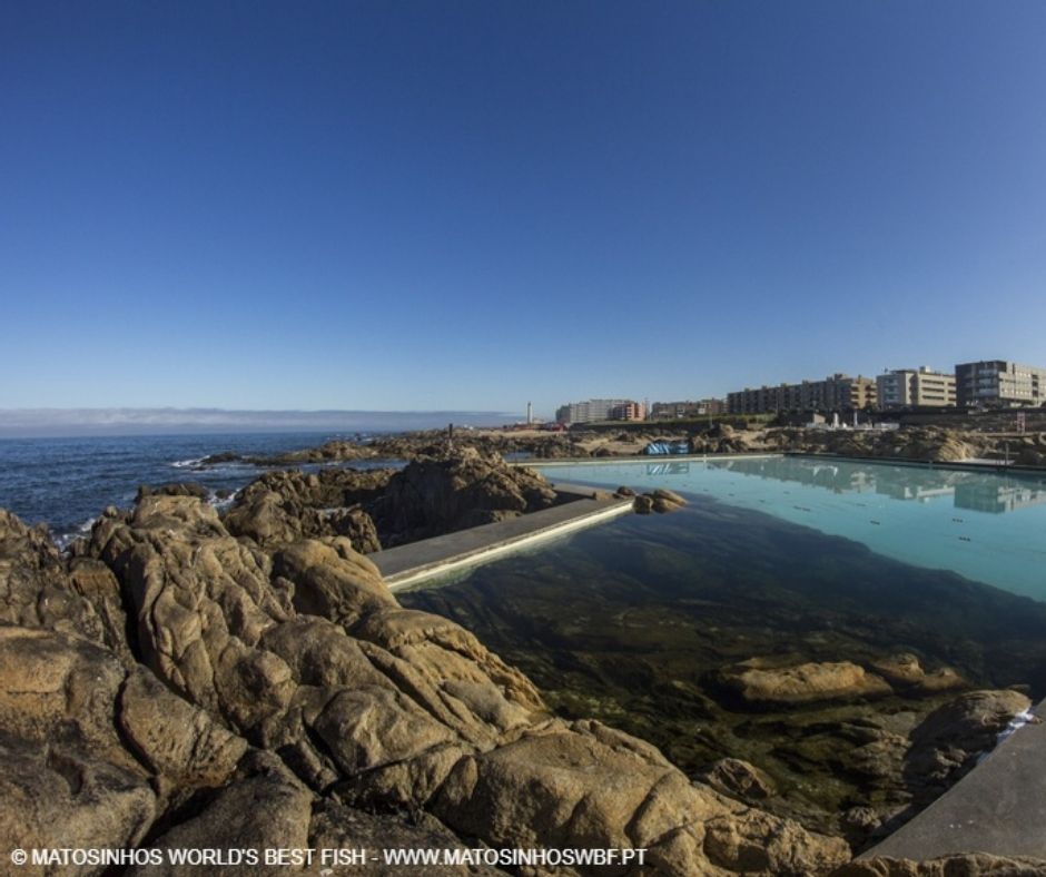 The Ocean Race in Matosinhos / Porto