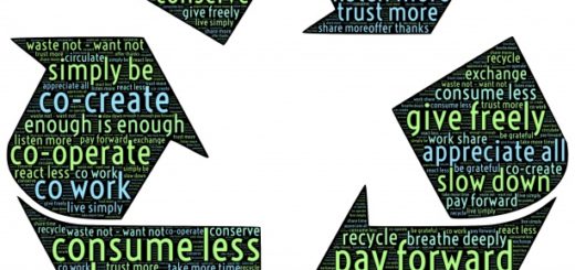 Collaborative consumption