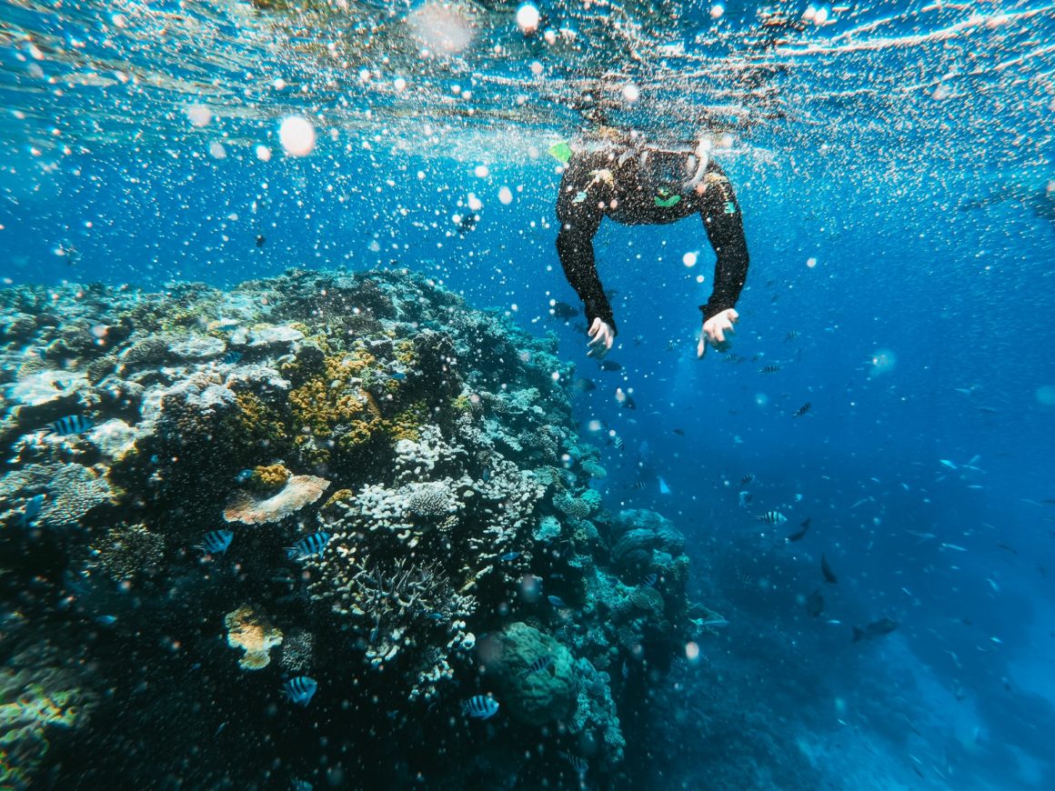 Great Barrier Reef