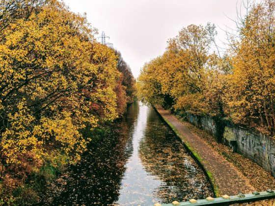 leafy trees overlooking canal in selly oak in brimingham