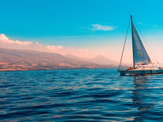 A sailboat sailing on the sea