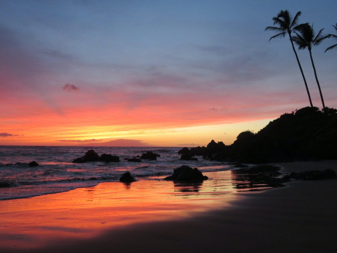 A sunset on the beach of Maui, with pink and orange skies in the distance and palm trees over the sand.