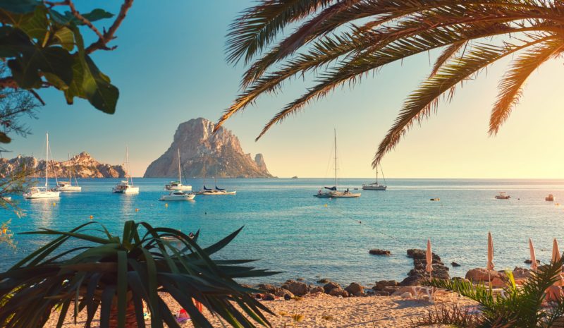 Uma praia em Ibiza.  Palmeiras em primeiro plano e barcos navegando no mar ao fundo