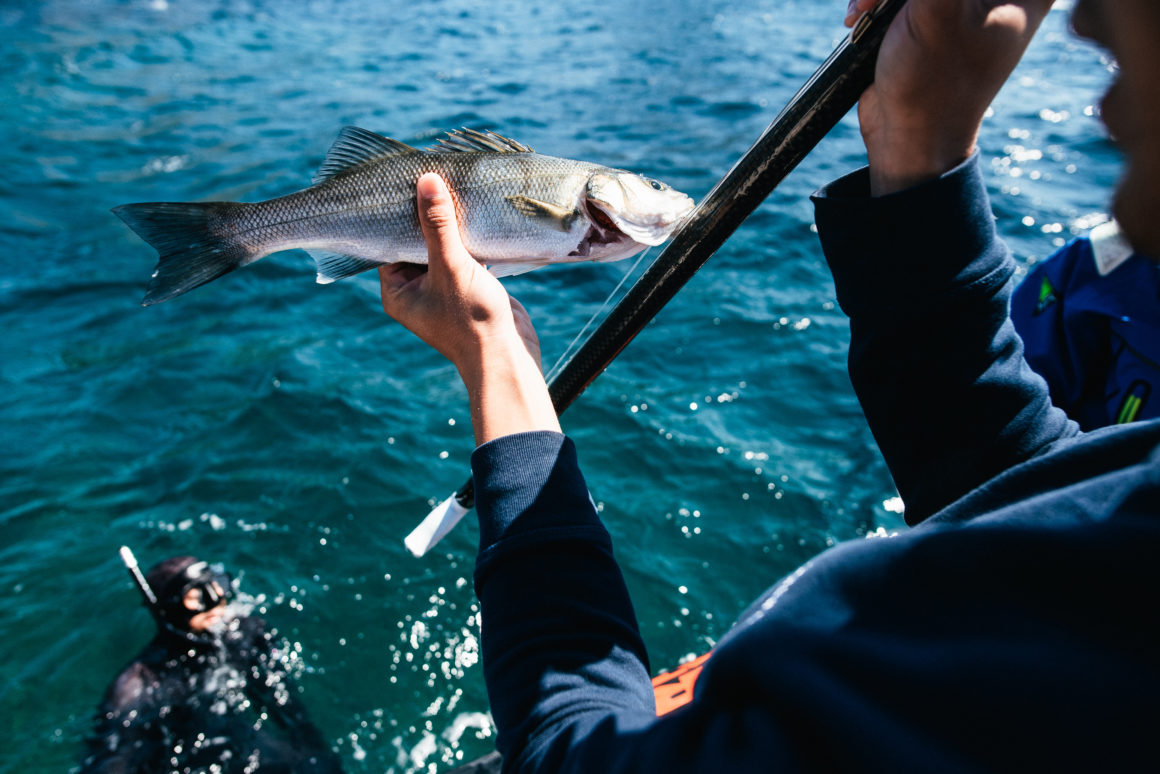 A sailor with a fish in one hand and a fishing rod in the other. In the background you can see the ocean and a someone snorkeling.