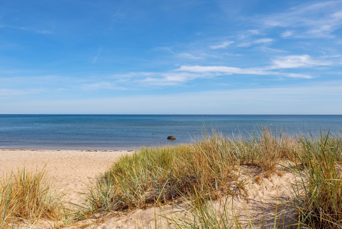 View of beach taken from sand dune. 