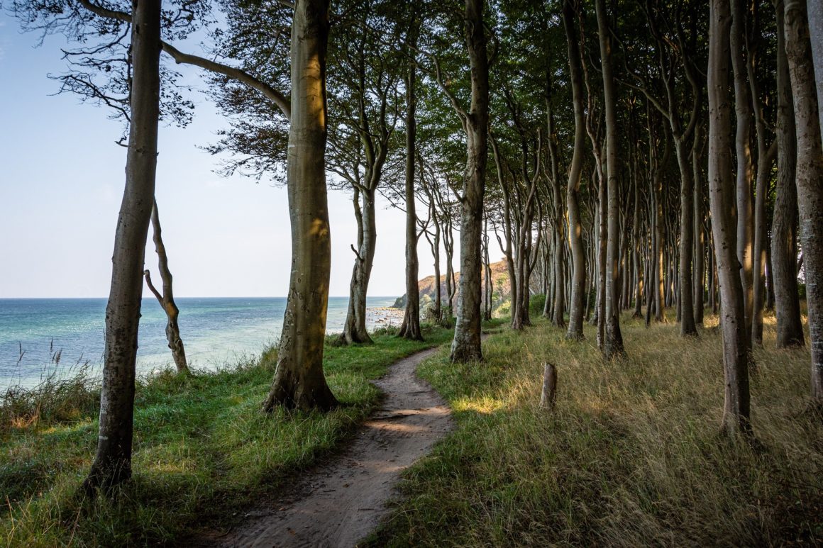 Lush forest coastline and sea views.