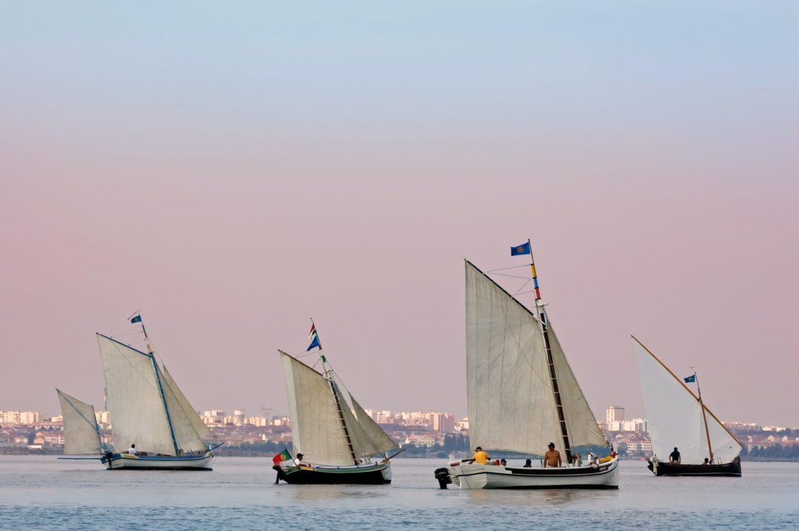 A sailboat regatta in Portugal