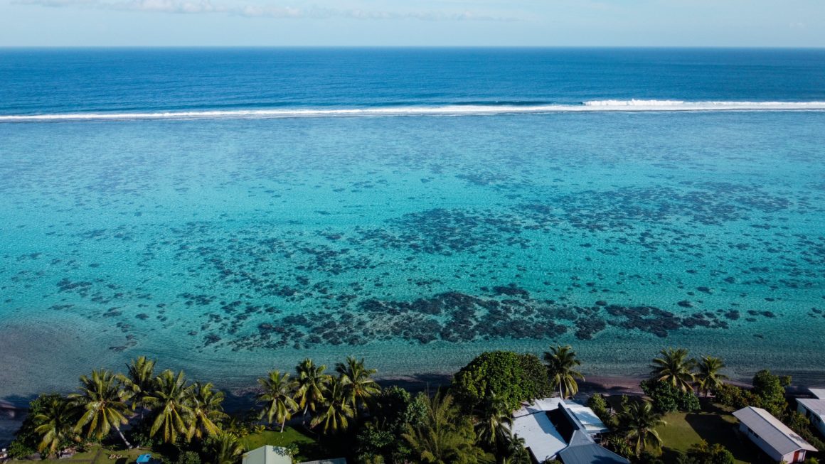 View of a black sand beach surrounded by crystal-clear water and palm trees