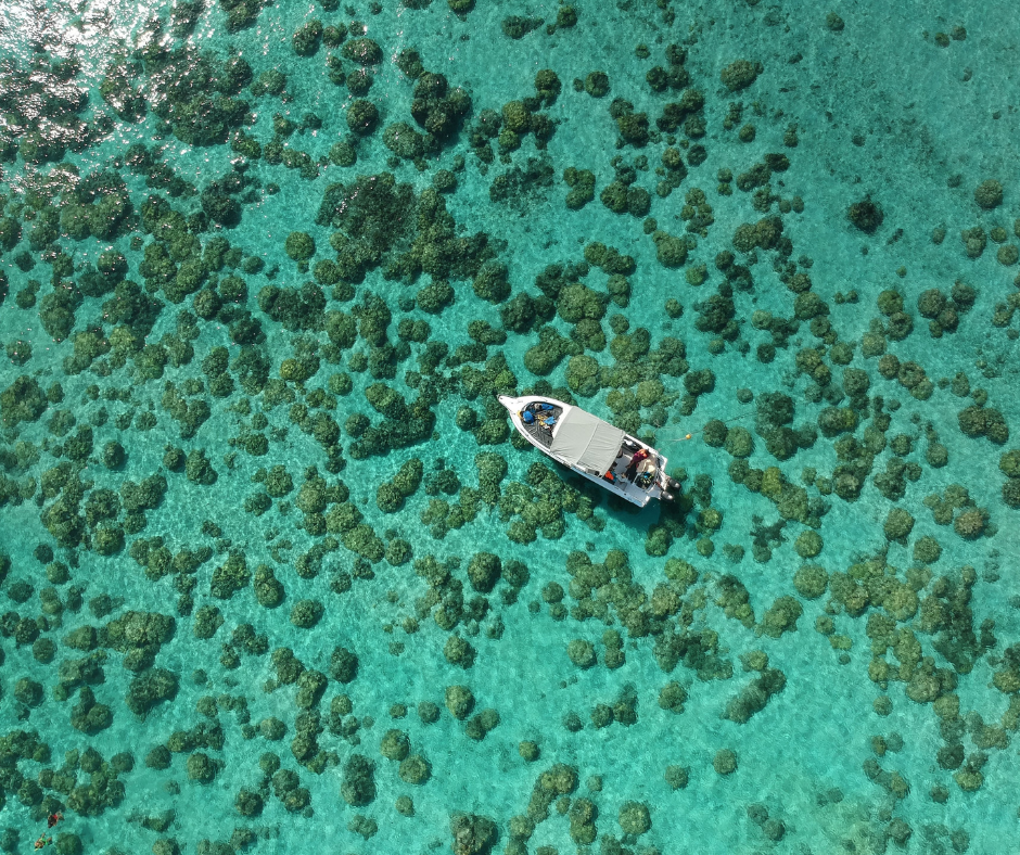 Boat sailing over coral