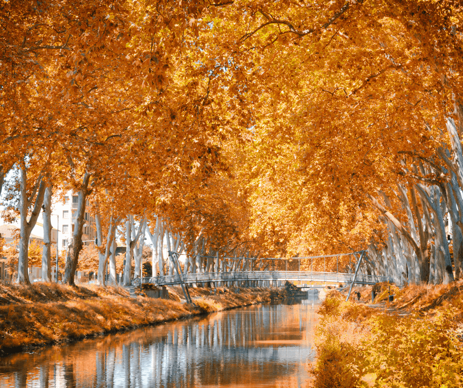 River waterway with autumnal trees on the banks. A foot bridge crosses the river