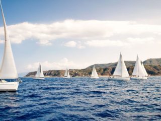 Picture of sailboats sailing