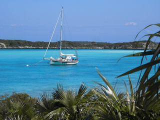 Sailboat at anchor on calm turquoise water in the Bahamas, framed by tropical vegetation in the foreground.