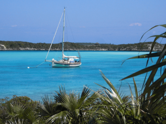 Sailboat at anchor on calm turquoise water in the Bahamas, framed by tropical vegetation in the foreground.