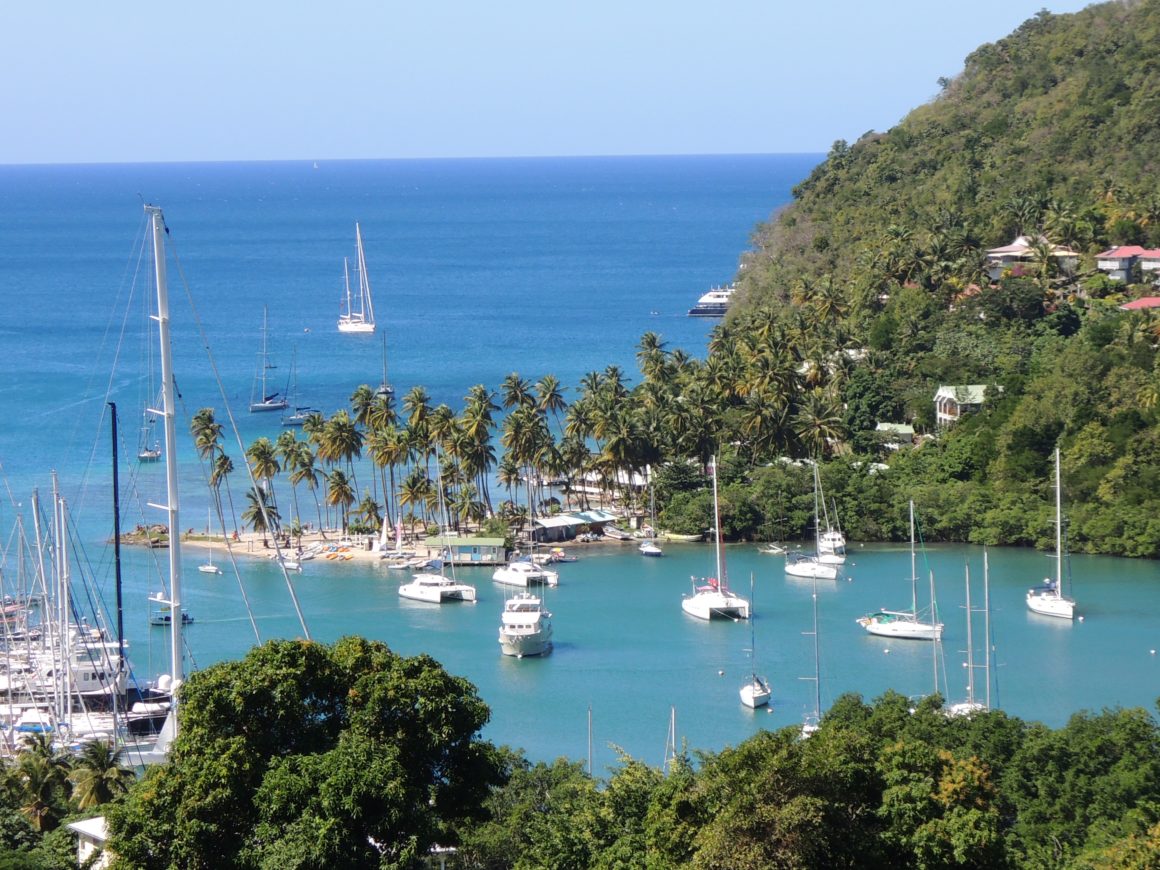 Sailboats and catamarans anchored in a turquoise bay in Saint Lucia, surrounded by palm trees and lush green hills.