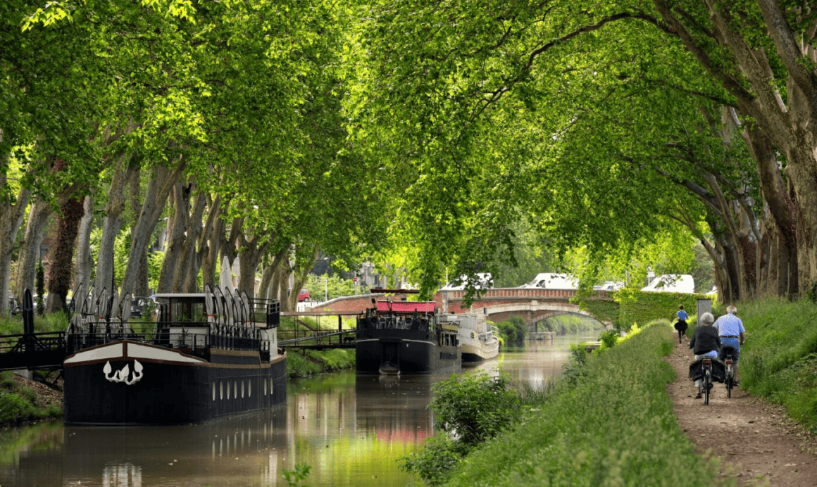 Houseboats cruising under plane trees on the historic Canal du Midi.