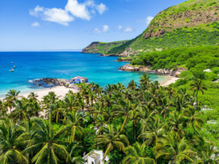 White sailboat anchored in a peaceful cove surrounded by green trees and rocks.