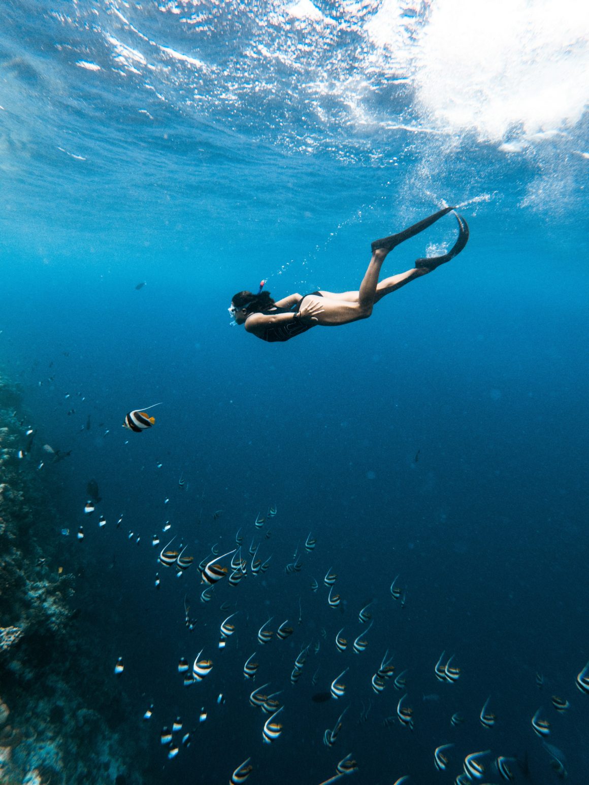 Snorkeler swimming with tropical fish.