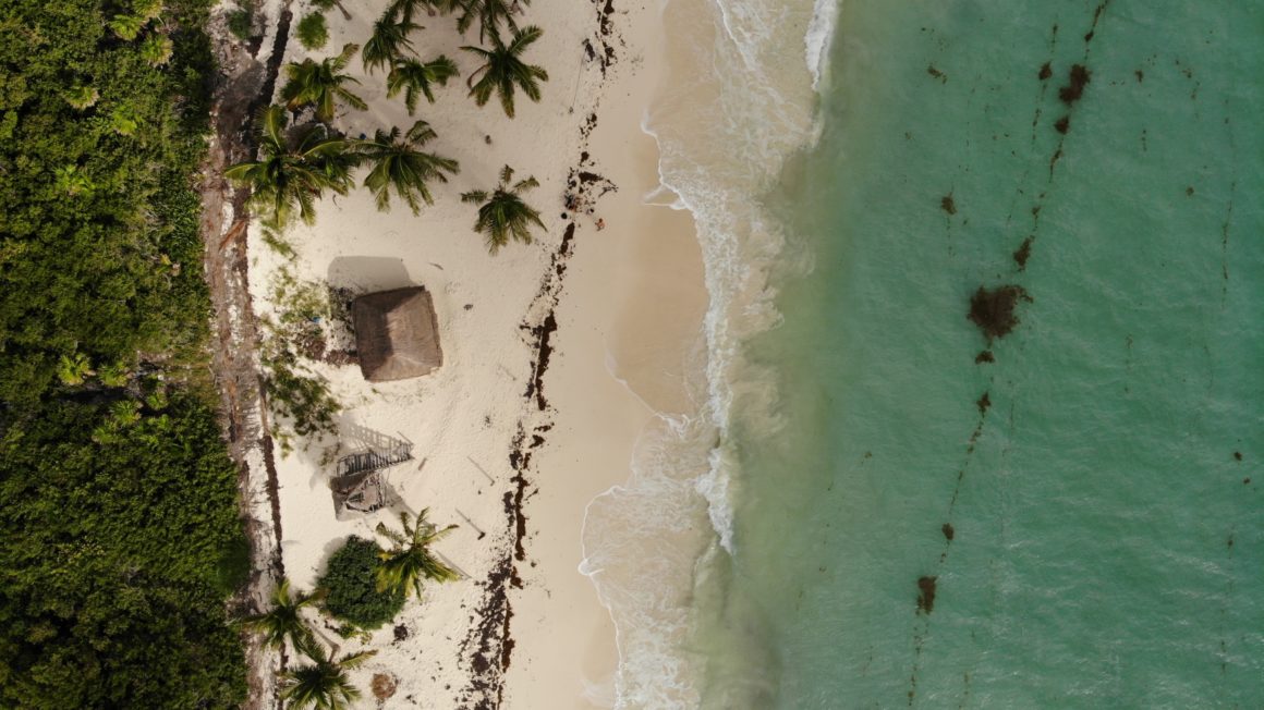 La arena blanca separa la vegetación salvaje de las aguas turquesas de esta playa en Cancún.