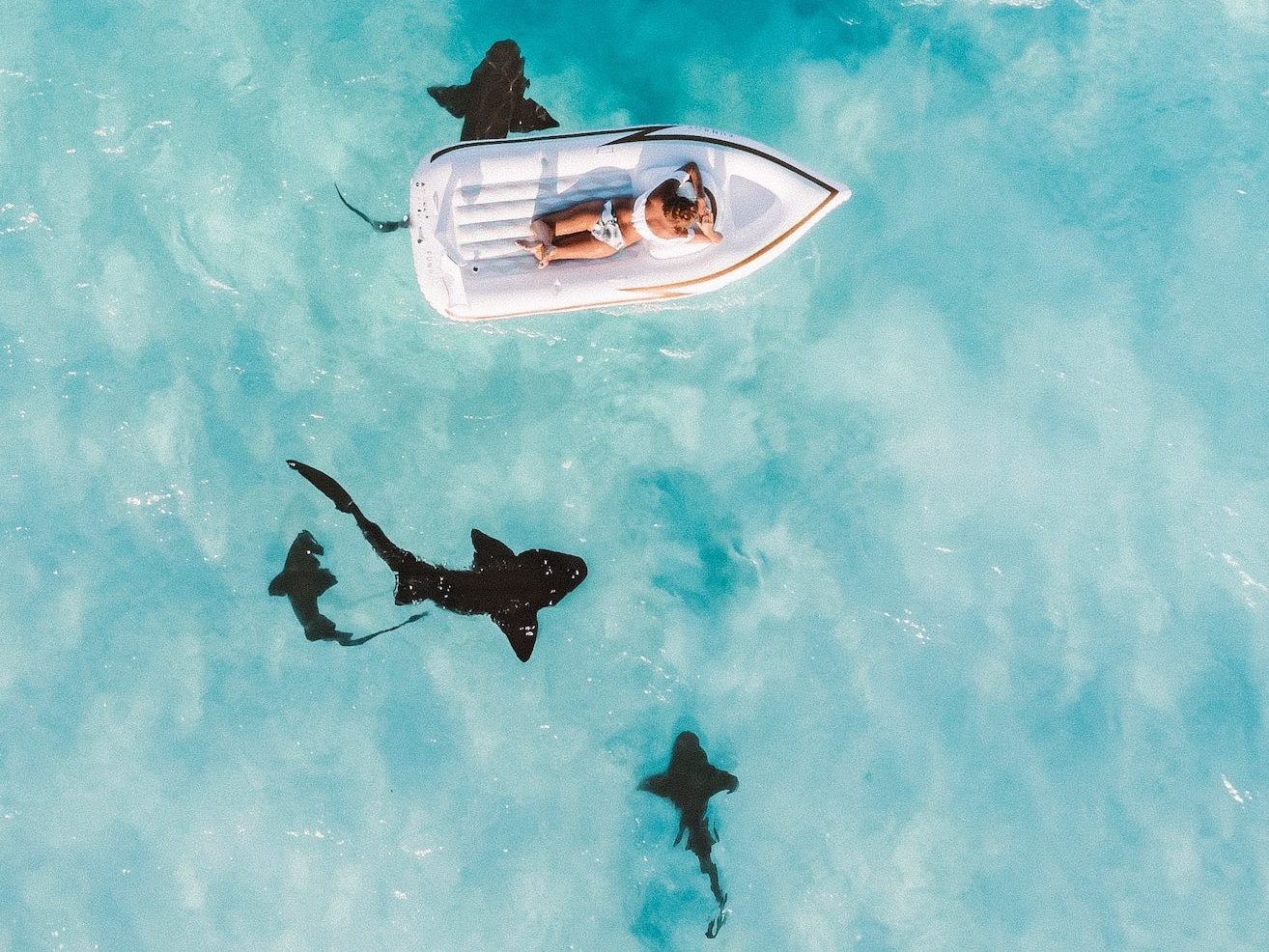 Tiburones nadando en una de las mejores islas de las Bahamas. Encima una mujer descansa en una lancha neumática.
