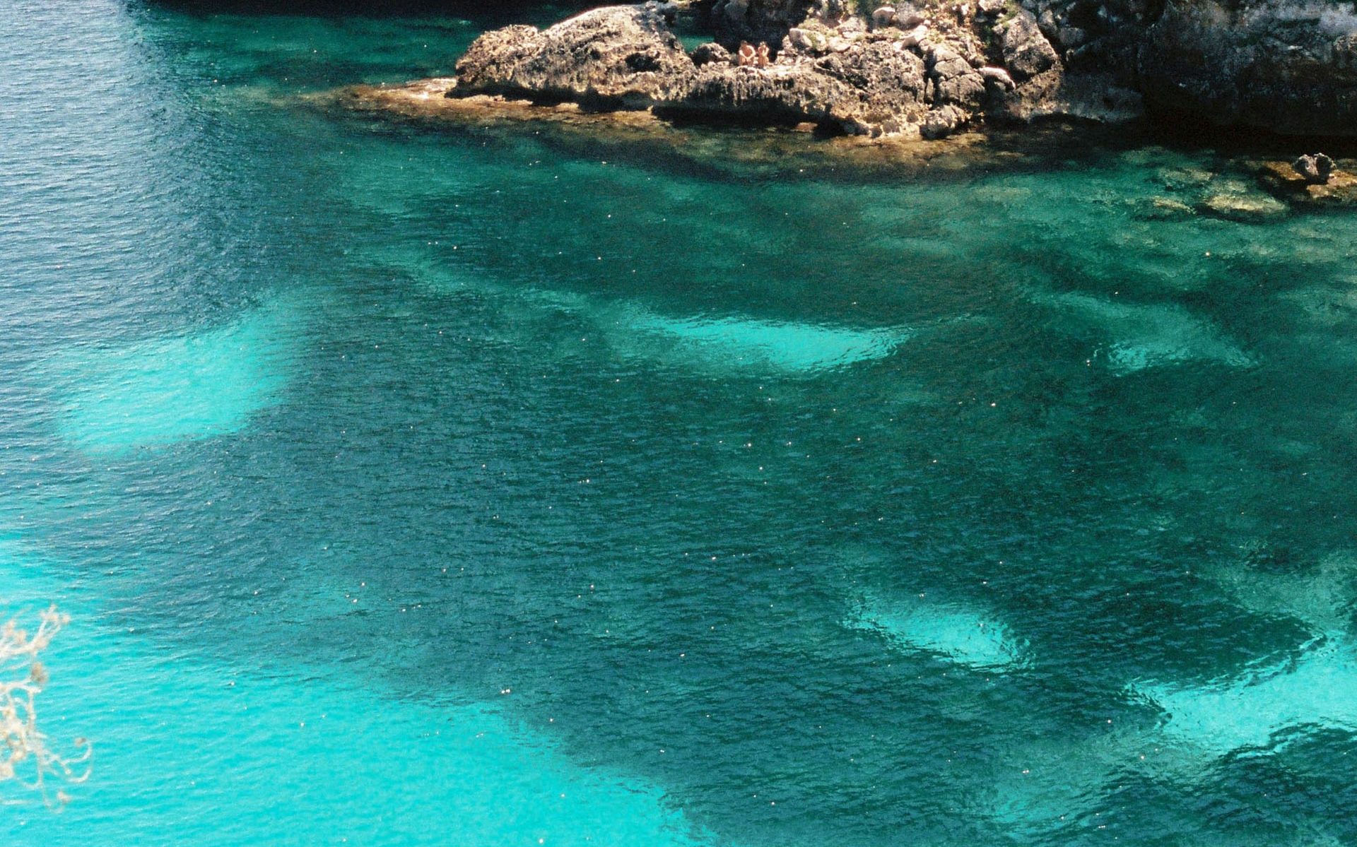 Posidonia oceánica desde la superfície en una cala mediterránea 