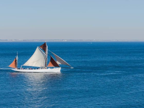 alquiler velero