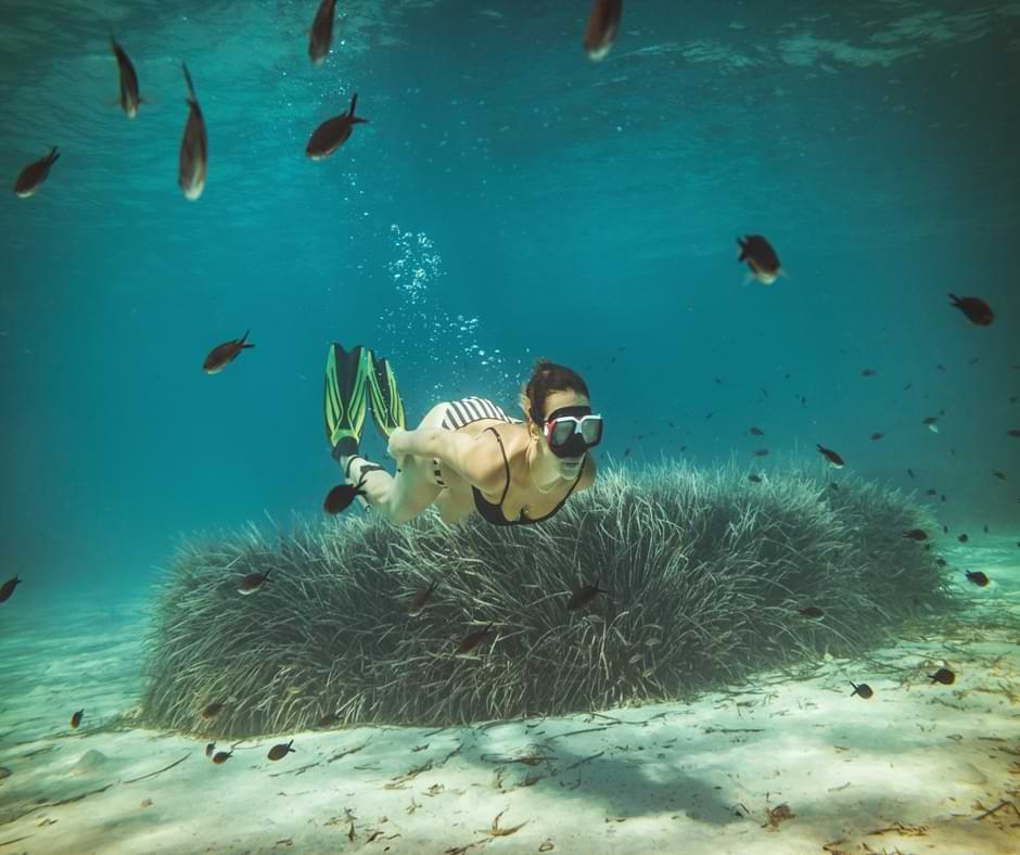 Snorkel en Cala Estreta