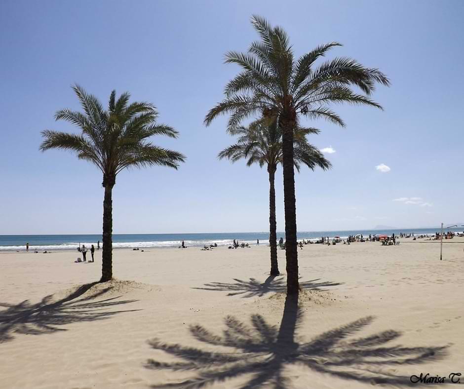 Playa de Valencia y sus palmeras
