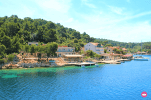 mare isola di Mljet