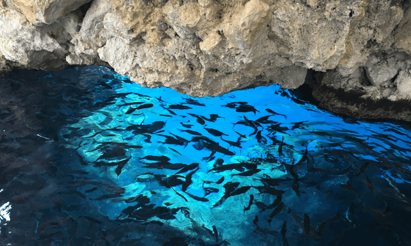 grotta marina