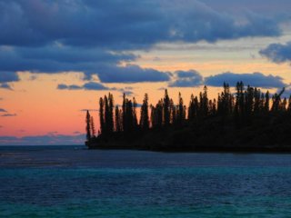 pini tramonto Nuova Caledonia