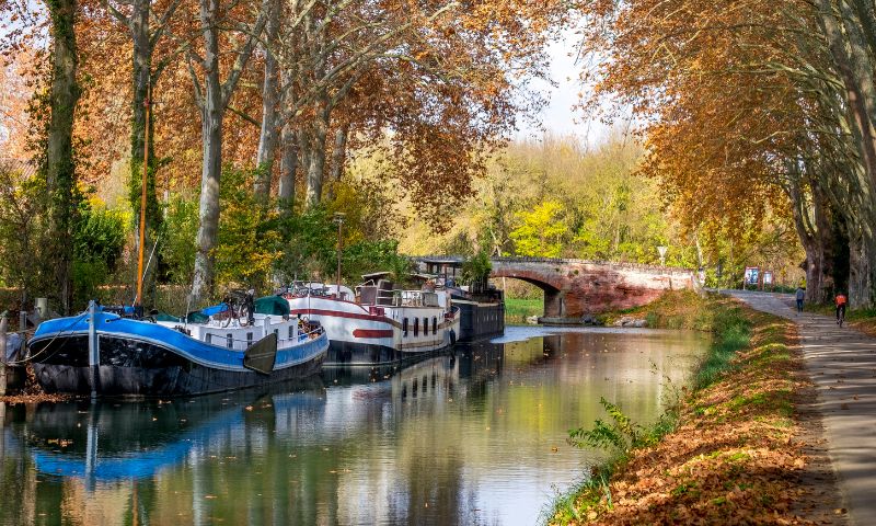Houseboat, Can du Midi, fium, vegetazione, autunno