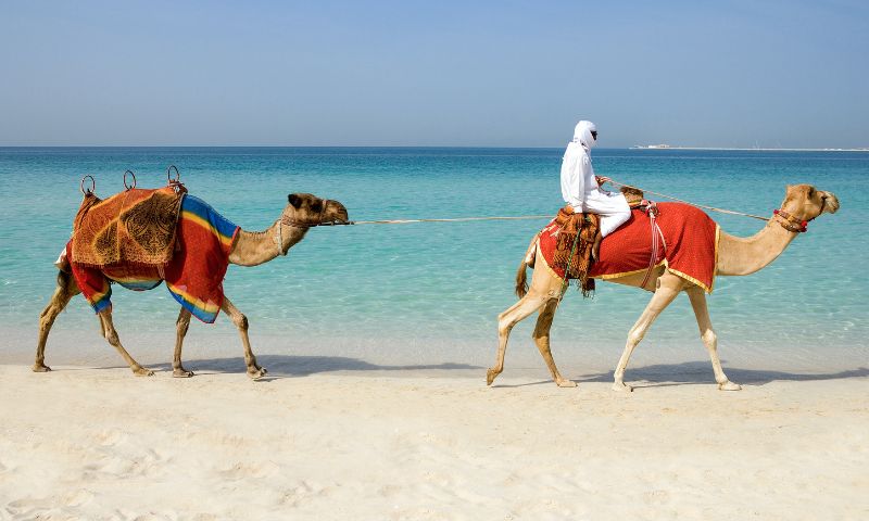 Spiaggia, cammelli, fuga dal Blue Monday