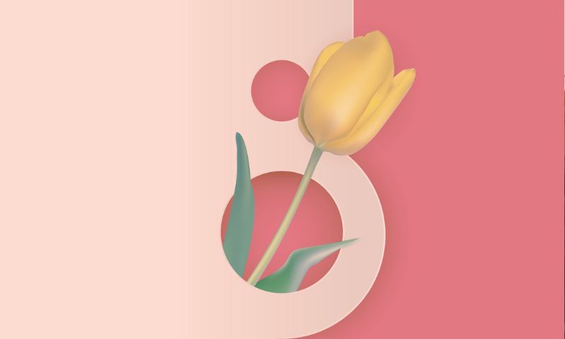 tulipano in un 8, a rappresentare l'8 marzo giornata internazionale donna
