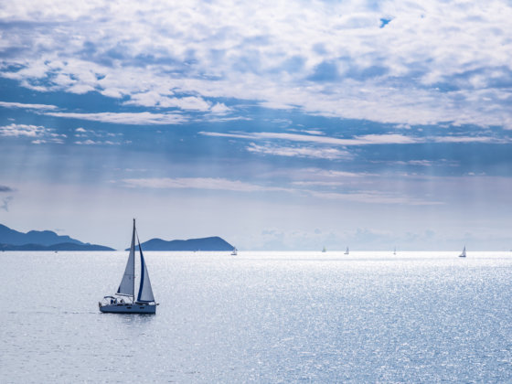 Barca a vela sul mare