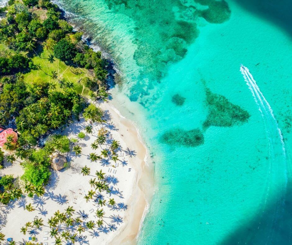 Zicht op prachtig tropisch caraïbisch eiland Cayo Levantado strand met palmen en boot. Het eiland Bacardi, Dominicaanse Republiek. Vakantie achtergrond. Zeer leuke bestemming voor de hersft vakantie.