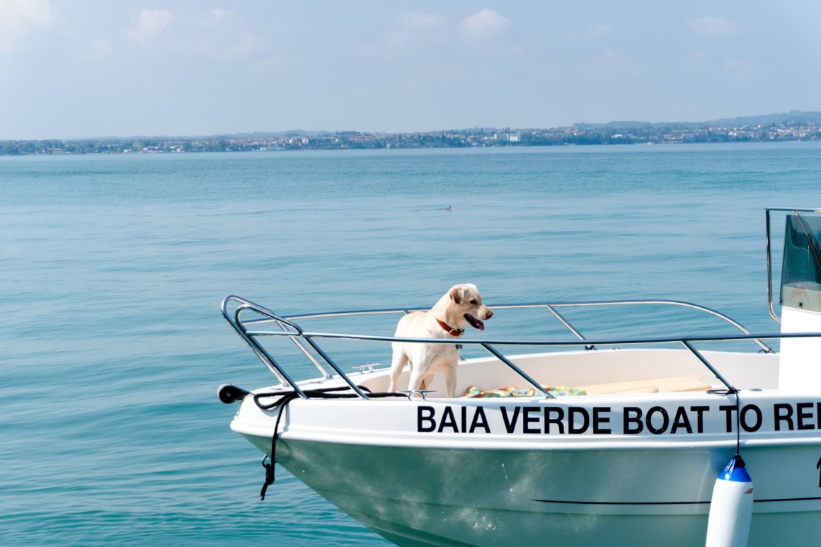 urlop z psem na łodzi
