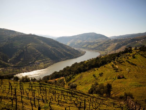 Conheça as melhores quintas portuguesas com um passeio de barco no Douro