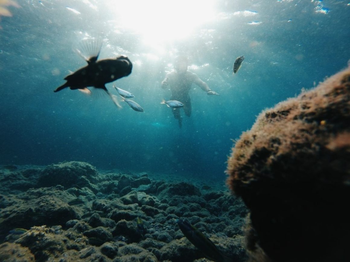 Um homem praticando mergulho com snorkel no mar. A sua frente, vemos a silhueta de um peixe maior, quatro peixes menores. A água é azul e podemos ver pequenas rochas.