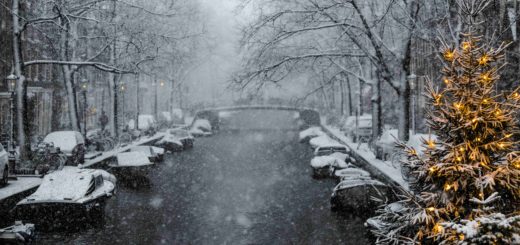 рождество в амстердаме