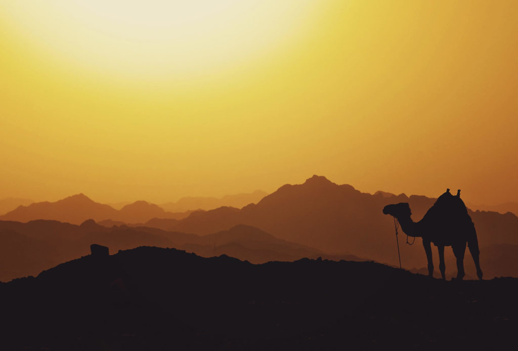 закат в пустыне