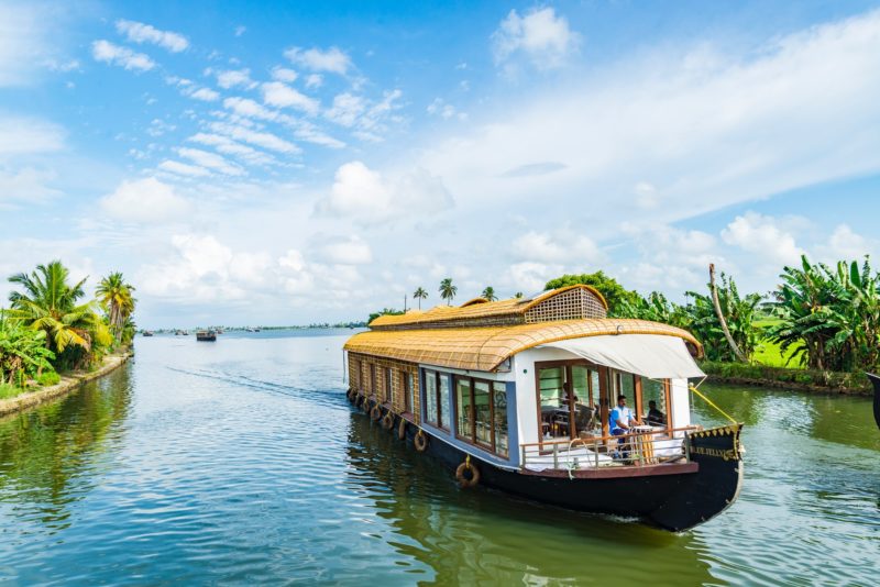 Houseboat Cruising Down a River, palm trees line the banks on either side
