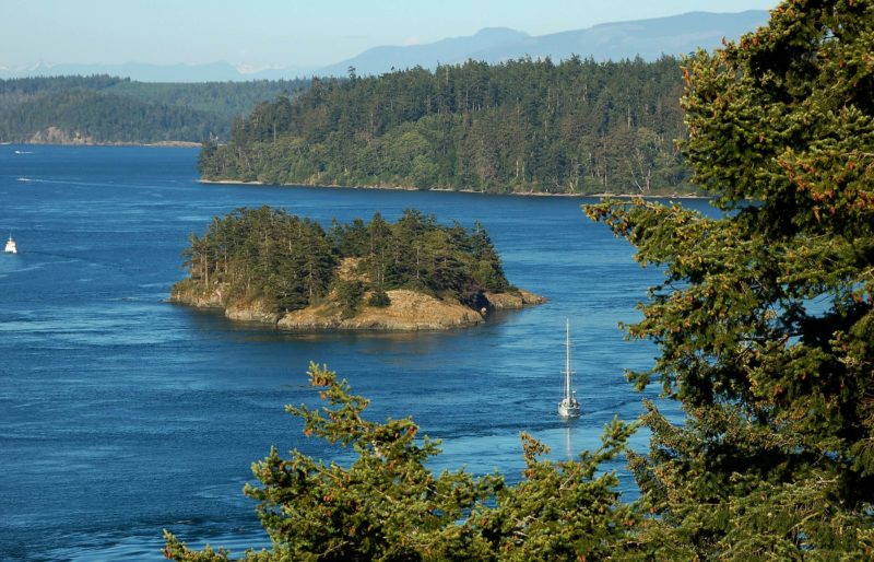 Sailboat exploring the Puget Sound