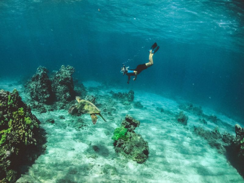 Scuba Diving in Key Largo