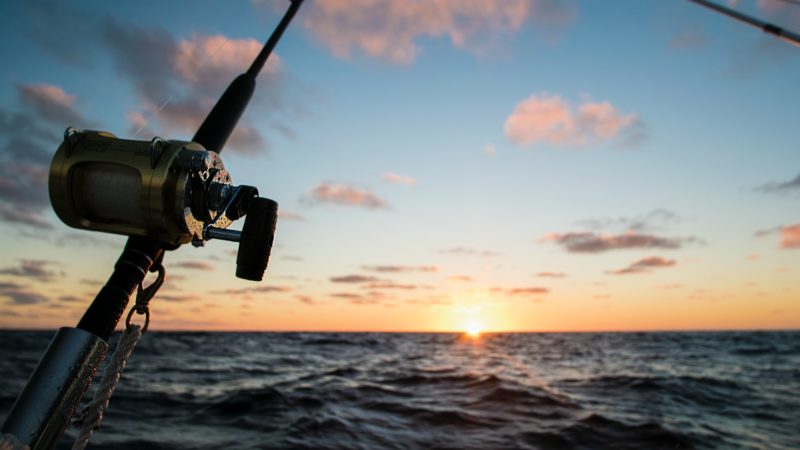 Fishing during sunset