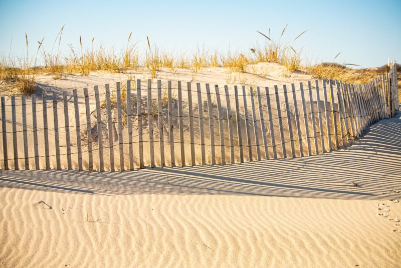 Sand on a beach in the hamptons